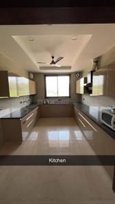 Kitchen Image of 1850 Sq.ft 3 BHK Builder Floor for rent in Sector 21 Panchkula for Rs. 28000
