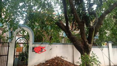 4 BHK Villa
