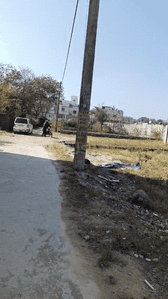 Singh More Plot View 3