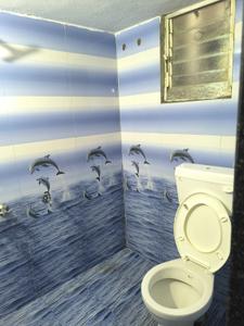 Bathroom Image of 1000 Sq.ft 2 BHK Apartment / Flat for rent in Monika Garden View, Pimpri Pune for Rs. 18000