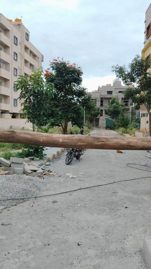 Stage 1, BTM Layout Main Image 1