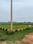 Uattardhona Plot View 2