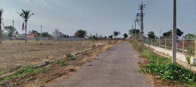 Residential Plot
