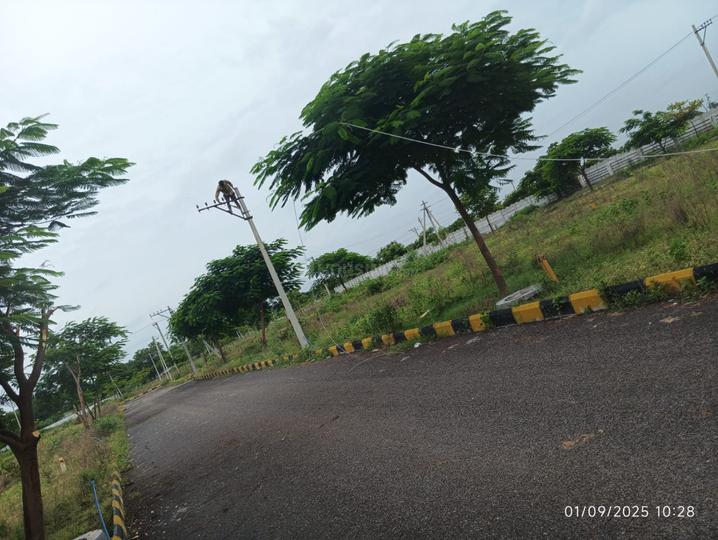 Arjiva farms Main Image 1