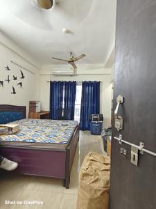 Bedroom Image of 450 Sq.ft 1 BHK Apartment / Flat for rent in Gaurs 14th Avenue, Noida Extension Greater Noida for Rs. 20000