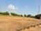 Nayagaon Plot View 2