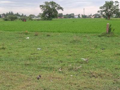 Image of 567 Sq.ft Residential Plot / Land for sale in Ponneri, Chennai for Rs. 567000