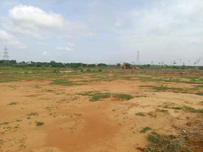 Kandi Plot View 1