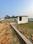 Bihta Plot View 2