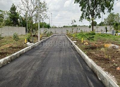 Residential Plot