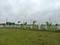 Kandi Plot View 2
