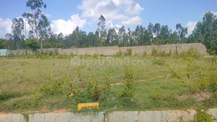 benaulim Main Image 1