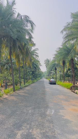 Chaitanya Bloom field Mutukad Main Image 1