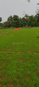 Image of 23000 Sq.ft Residential Plot / Land for sale in Naubatpur, Patna for Rs. 25500000
