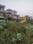 Sector 9 Main Image 1