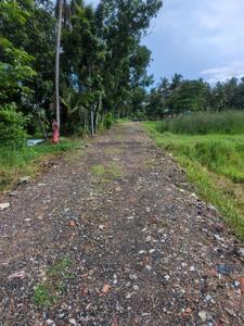 Nest Valley Internal Roads 2