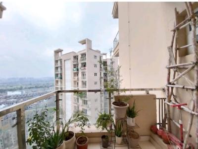 Balcony Image of 677 Sq.ft 2 BHK Apartment / Flat for sale in Irish Pearls, Noida Extension Greater Noida for Rs. 11500000