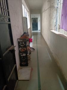 Balcony Image of 850 Sq.ft 2 BHK Apartment / Flat for rent in Narhe Pune for Rs. 18000