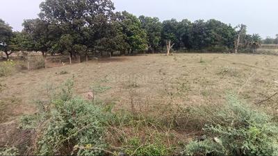 Image of 17250 Sq.ft Residential Plot / Land for sale in Padra, Rewa for Rs. 51750000