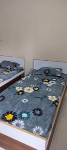 Bedroom Image of 170 Sq.ft 1 RK Apartment / Flat for rent in Sector 134 Noida for Rs. 13999