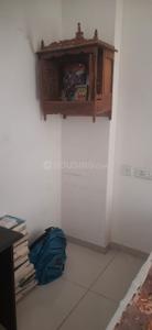 Hall Image of 1905 Sq.ft 3 BHK Apartment / Flat for rent in Pacifica Reflections, Vaishno Devi Circle Ahmedabad for Rs. 34000