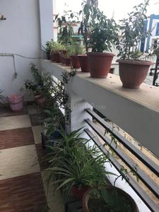Balcony Image of 2000 Sq.ft 2 BHK Builder Floor for rent in Gomti Nagar Lucknow for Rs. 22000