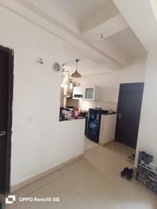 Hall Image of 1850 Sq.ft 3 BHK Apartment / Flat for sale in Amrapali Sapphire, Sector 45 Noida for Rs. 22000000