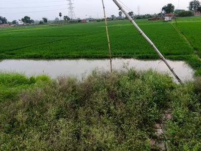 Image of 872 Sq.ft Residential Plot / Land for sale in Naubatpur, Patna for Rs. 2700000