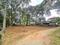 Kunnathery Thikavu Plot View 2