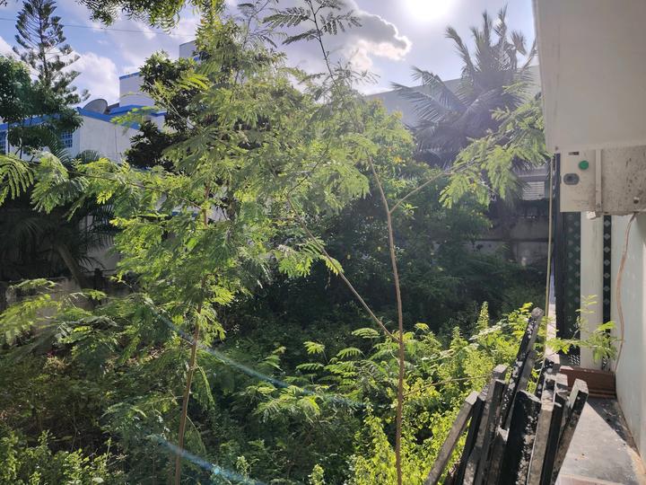 Palavakkam Main Image 1