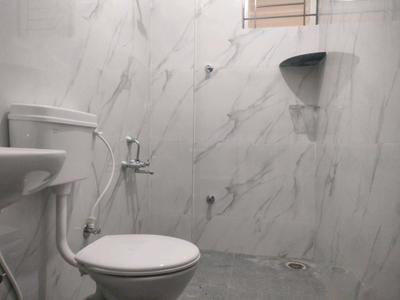 Common Bathroom Image of 1200 Sq.ft 2 BHK Apartment / Flat for rent in Om Sai, Marathahalli Bengaluru for Rs. 42000