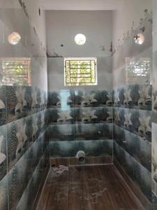 Common Bathroom Image of 1020 Sq.ft 3 BHK Apartment / Flat for sale in Maya Apartment, Birati Kolkata for Rs. 2850000