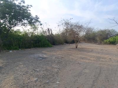 Image of 1089 Sq.ft Residential Plot / Land for sale in Pirkone, Navi Mumbai for Rs. 590000