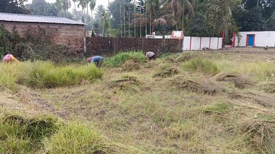 Image of 3600 Sq.ft Residential Plot / Land for sale in Madhyamgram, Kolkata for Rs. 4500000