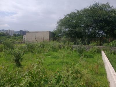 Paud Plot View 1