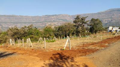 Image of 22000 Sq.ft Residential Plot / Land for sale in Shahapur, Thane for Rs. 5500000