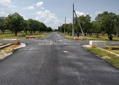 Image of 1456 Sq.ft Residential Plot / Land for sale in Sri Padmavati Mahila Visvavidyalayam, Tirupathi for Rs. 2950000