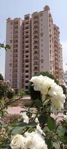Image of 1215 Sq.ft 2 BHK Apartment / Flat for sale in Hindustan HFL Presidency Estate, Bibipur, Bhiwadi for Rs. 5700000