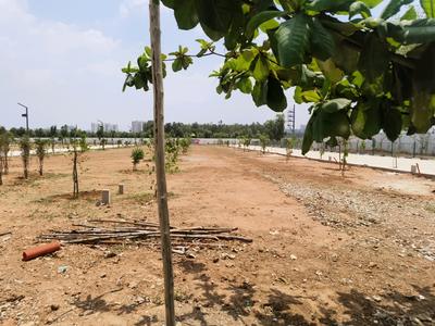 Residential Plot