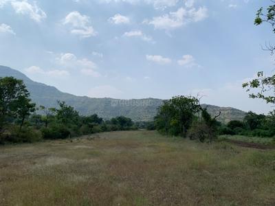Image of 11000 Sq.ft Residential Plot / Land for sale in Harishchandri, Pune for Rs. 2100000