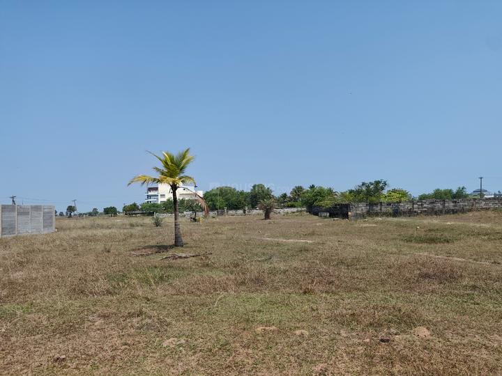 Pattipulam Main Image 1