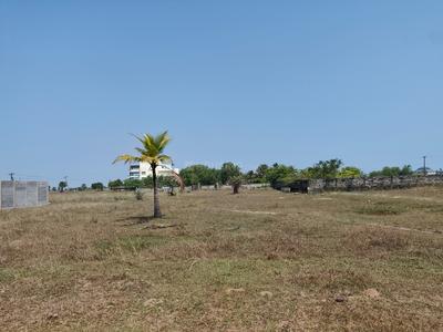 Residential Plot