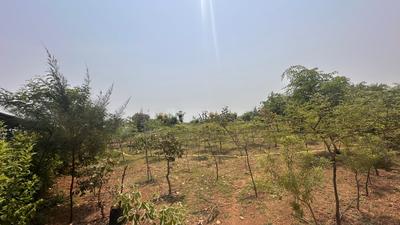 Image of 8000 Sq.ft Residential Plot / Land for sale in Tatibandh, Raipur for Rs. 3608000