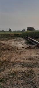 Image of 900 Sq.ft Residential Plot / Land for sale in Jhusi, Allahabad for Rs. 1200000