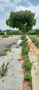 Vijayanagar 1st Stage Plot View 2