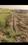 Danapur Plot View 2
