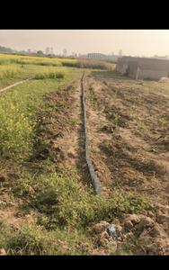 Manpura Plot View 2