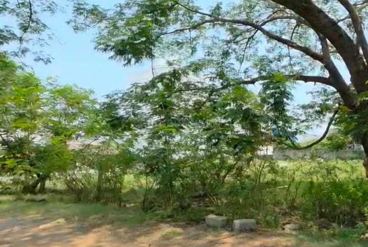Srinivasan Nagar Main Image 1