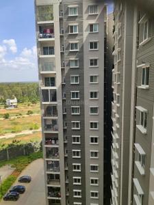 3 BHK Flat