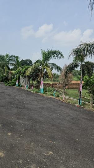 Kankaha Main Image 1
